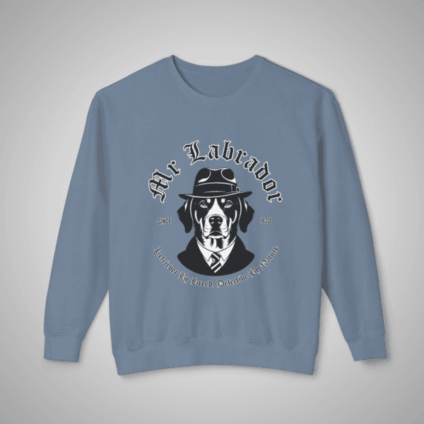 denim_sweatshirt_labrador