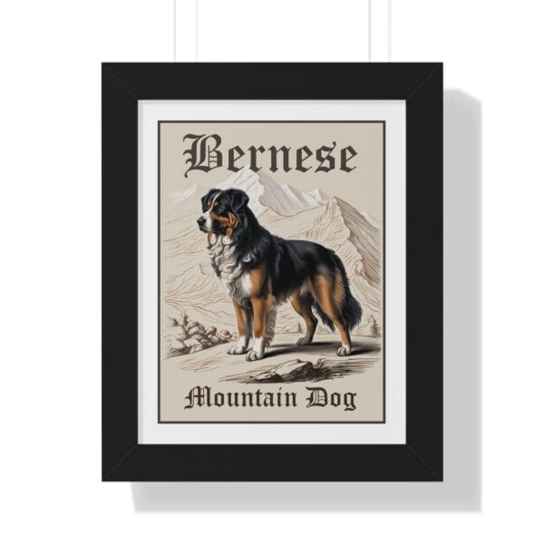 Bernese Mountain Dog Poster