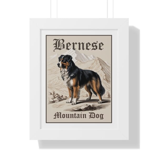 Bernese Mountain Dog Poster
