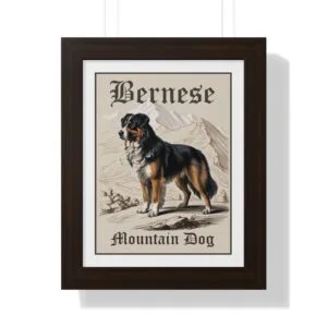 Bernese Mountain Dog Poster