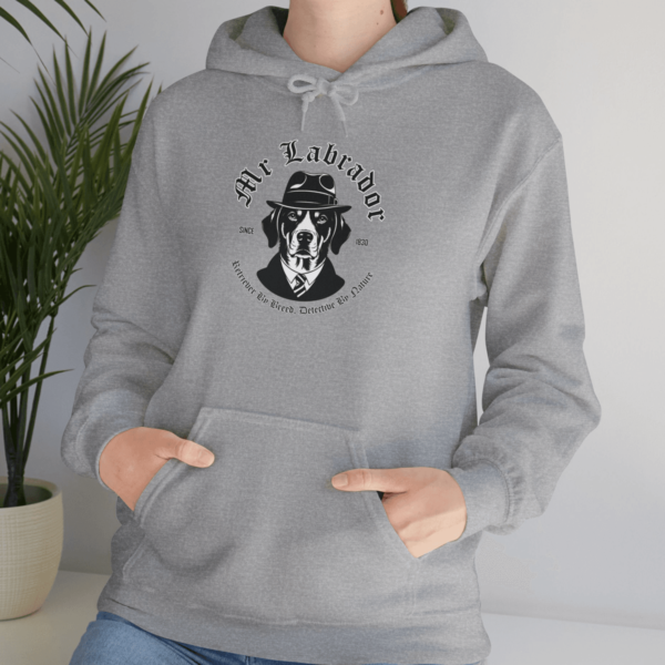 Mr Labrador Hooded Sweatshirt